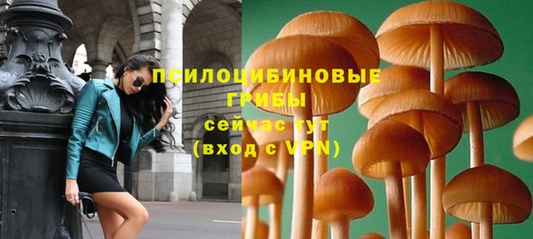 не бодяженный Приозерск