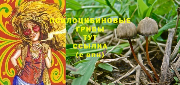мет Балахна